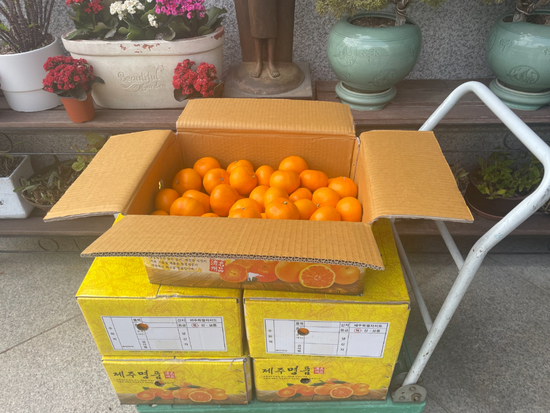 KakaoTalk_20250421_145802421.jpg