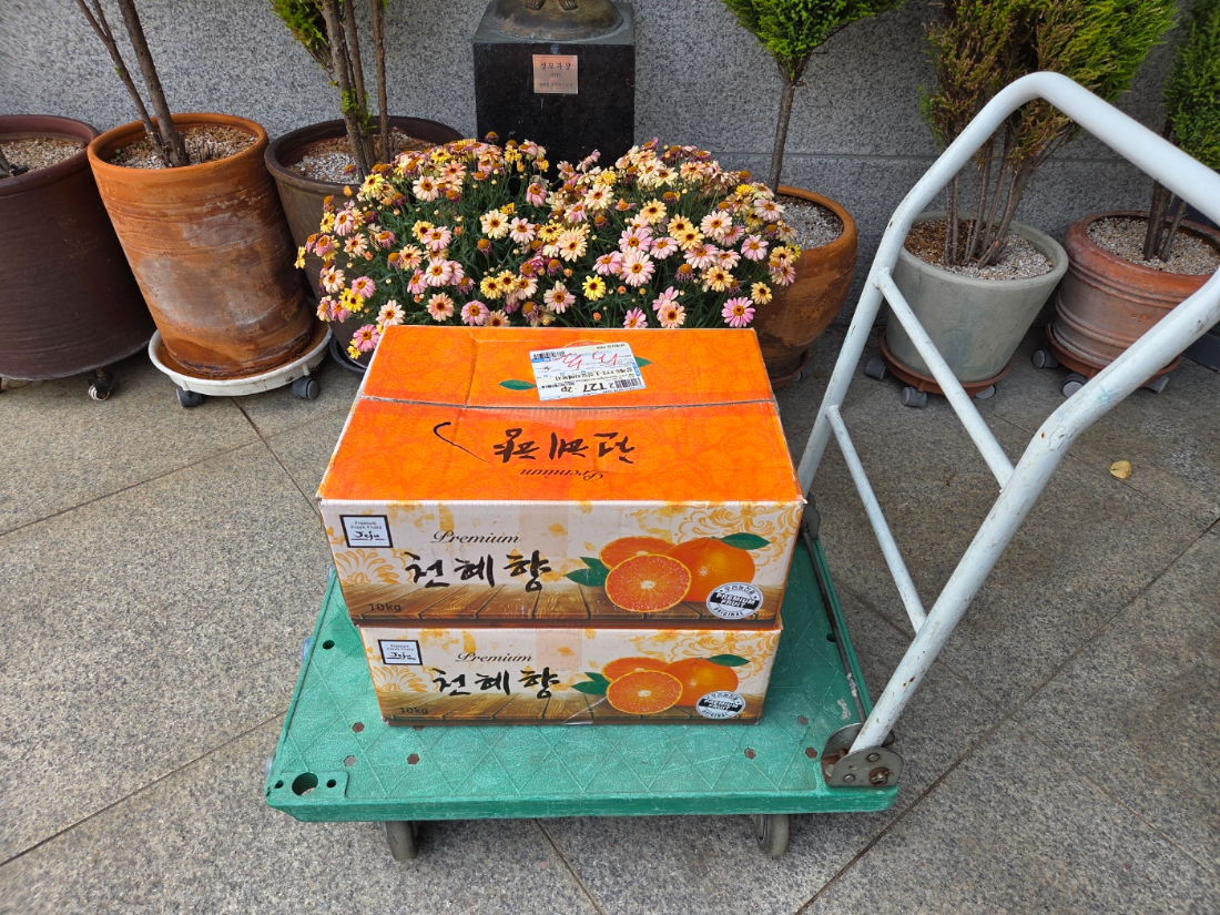KakaoTalk_20260417_164124724_01.jpg