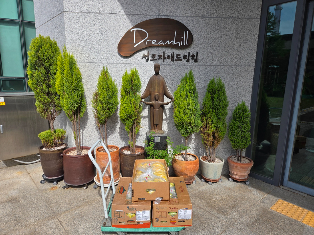 KakaoTalk_20260601_135644971.jpg